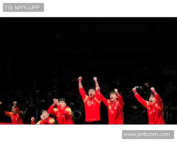 武汉乒乓球队的蜕变与重生探索新篇章的奋斗历程